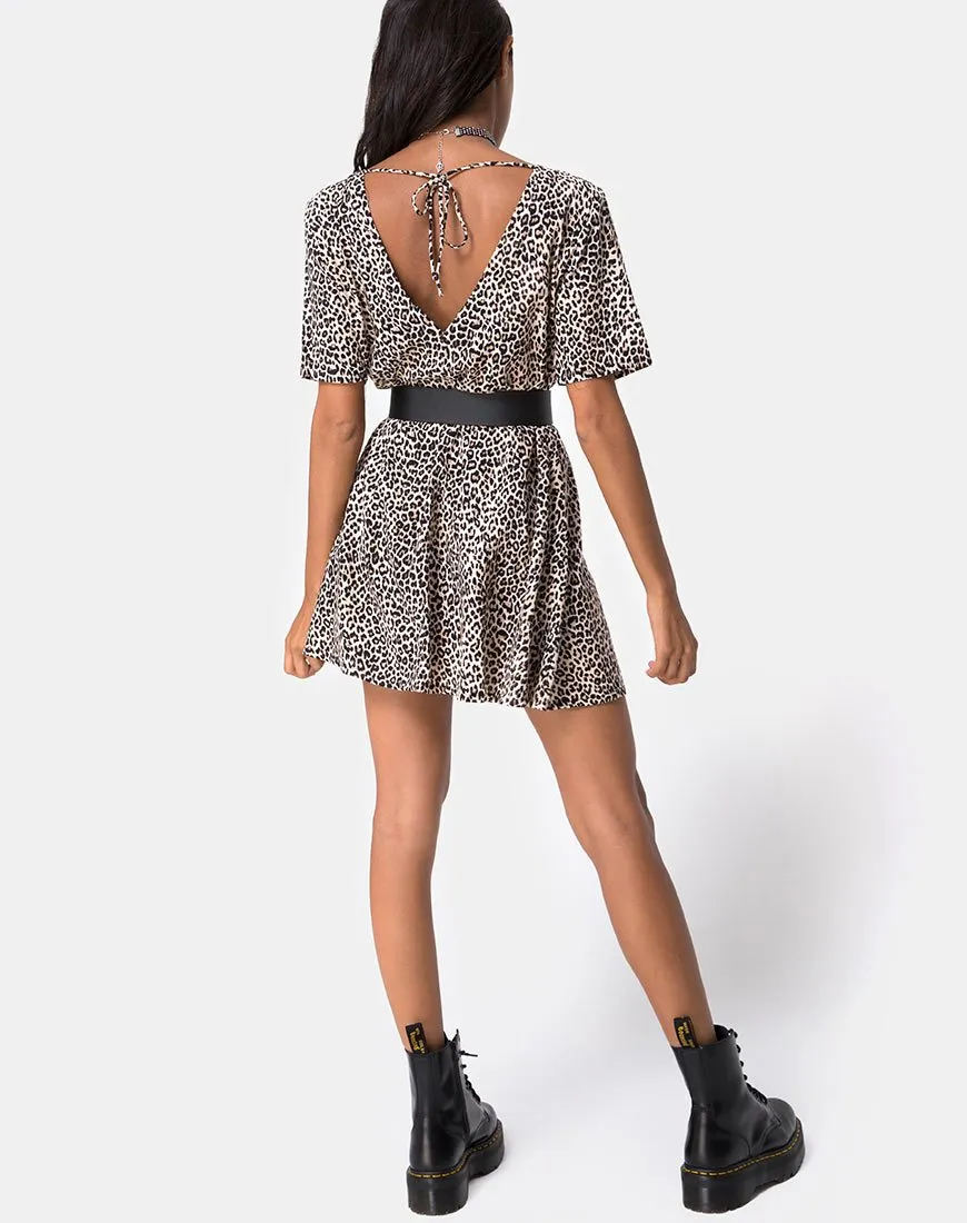 Crosena Dress in Rar Leopard