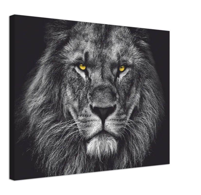 Lion Head - Print