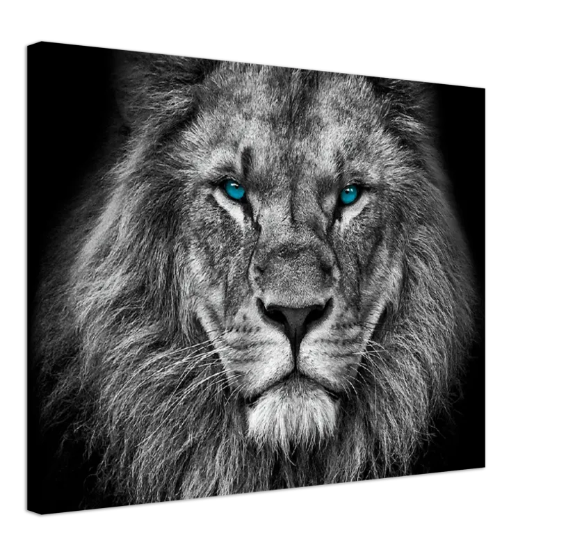 Lion Head - Print