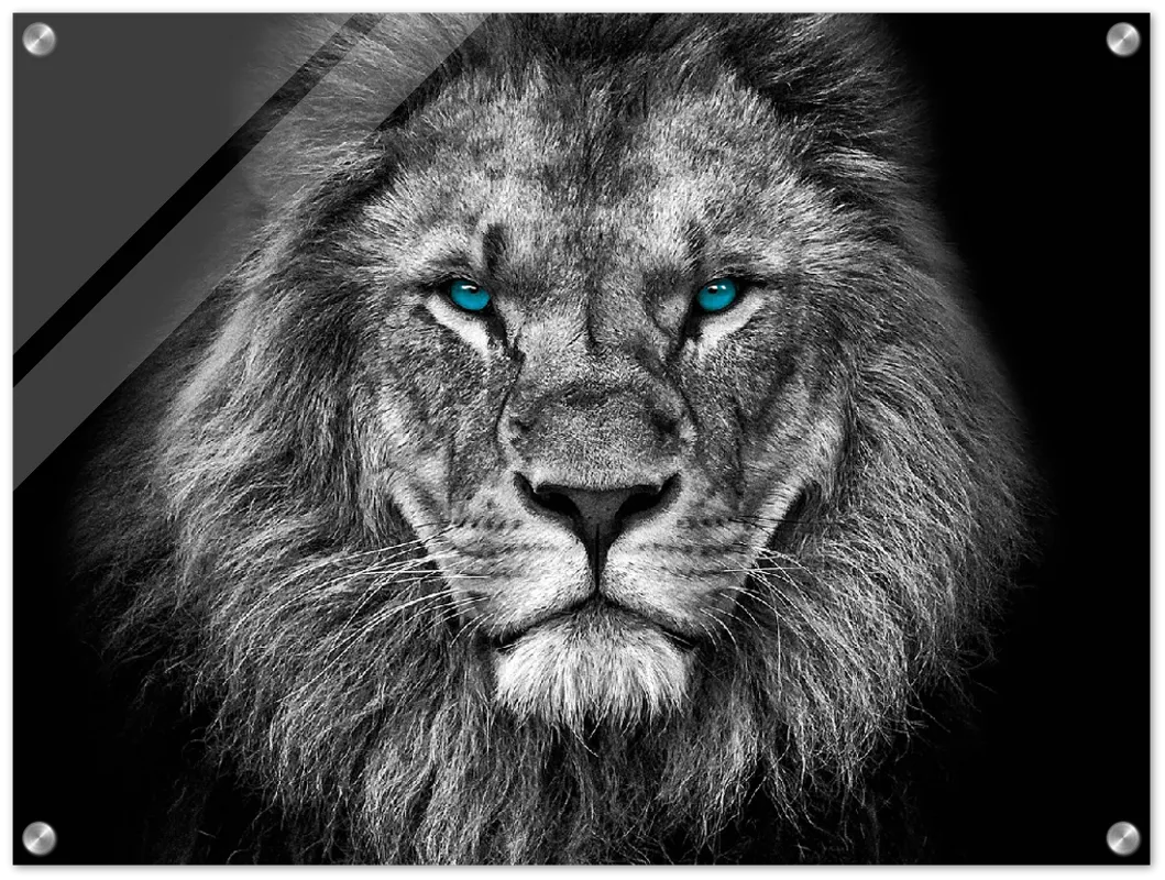 Lion Head - Print
