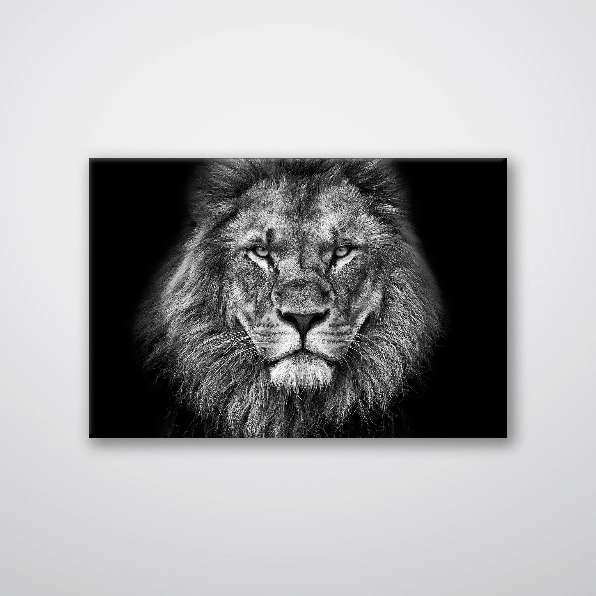 Lion Head - Print