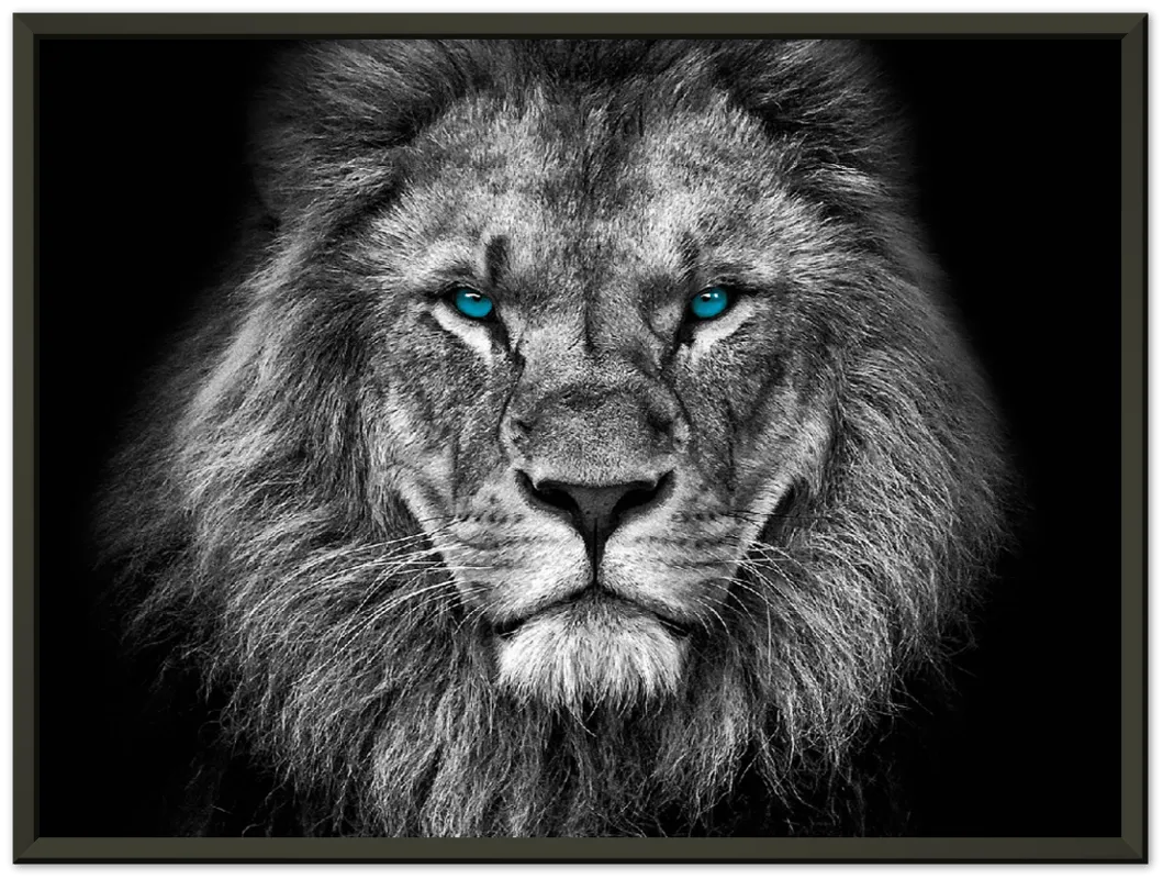 Lion Head - Print