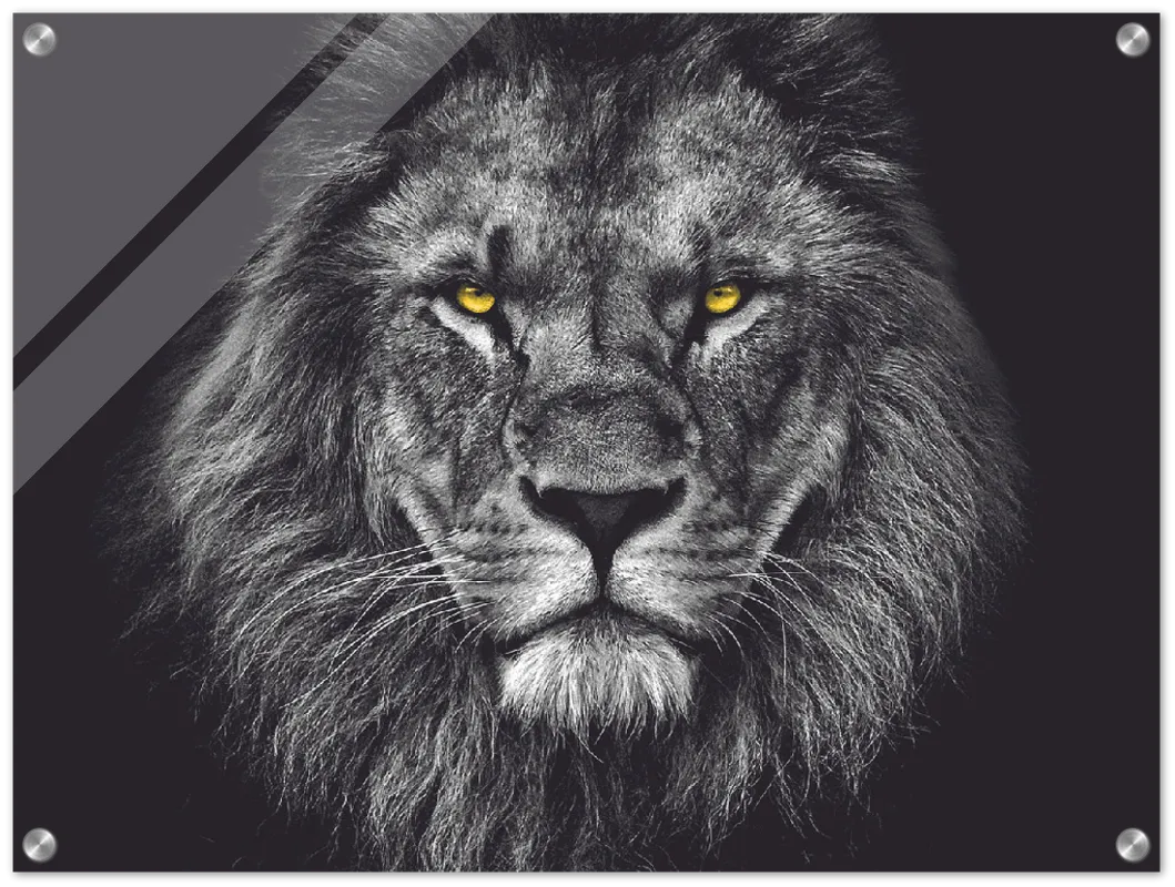 Lion Head - Print