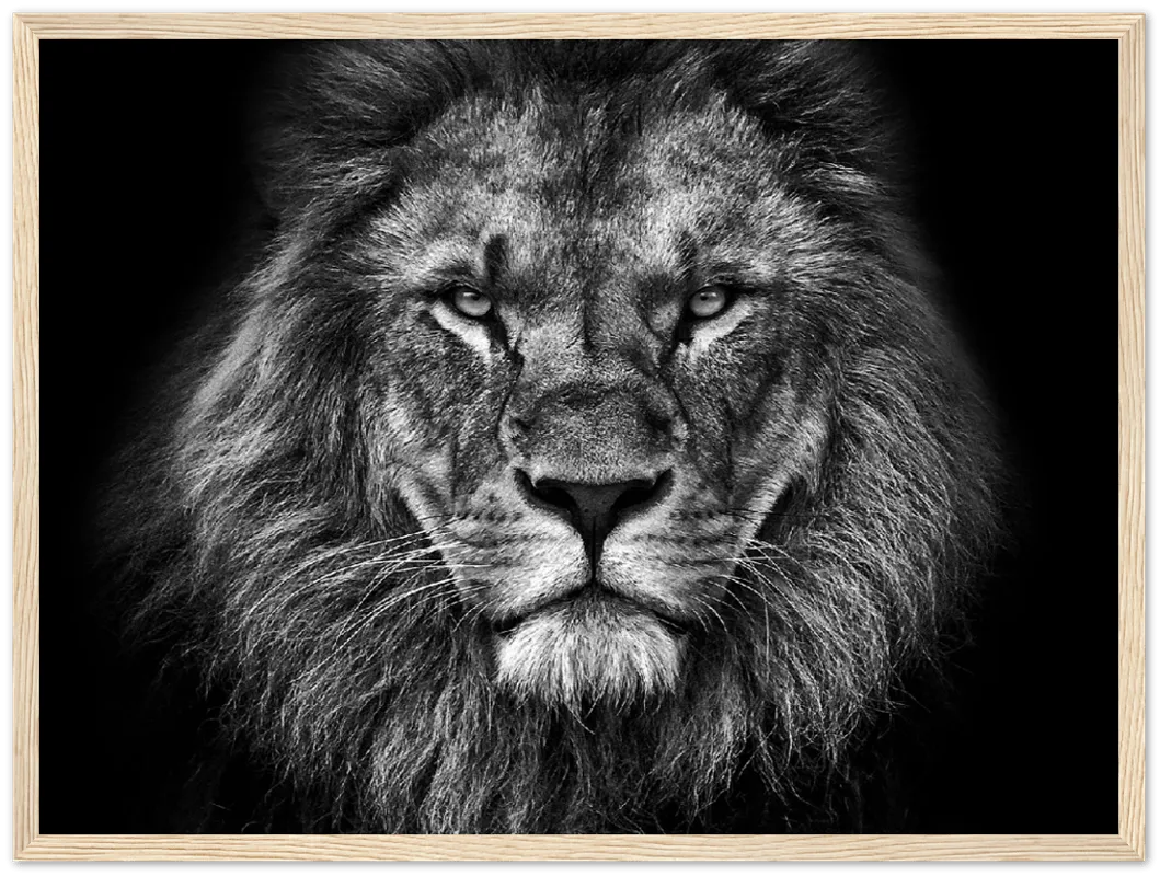 Lion Head - Print
