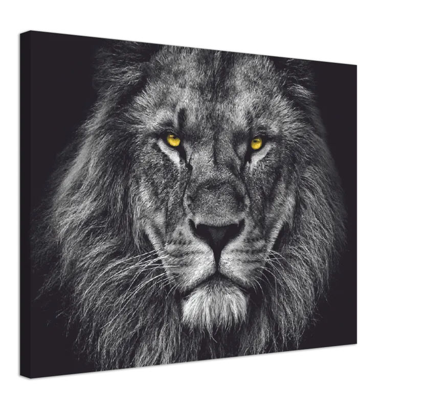 Lion Head - Print