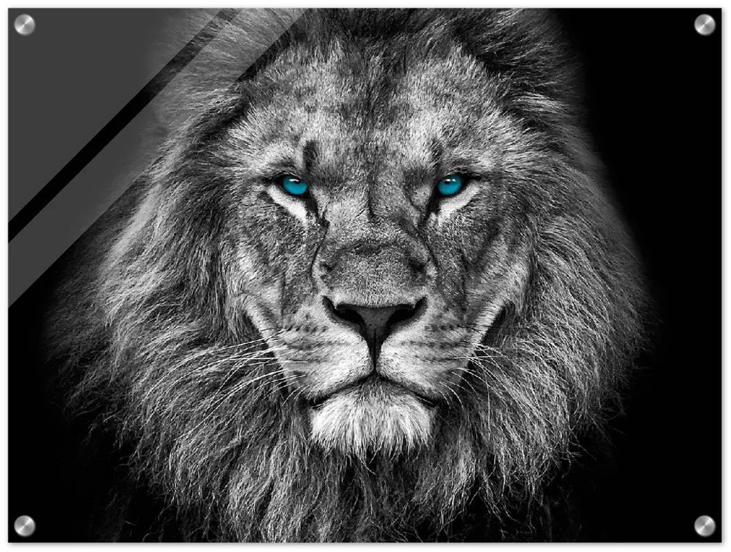 Lion Head - Print
