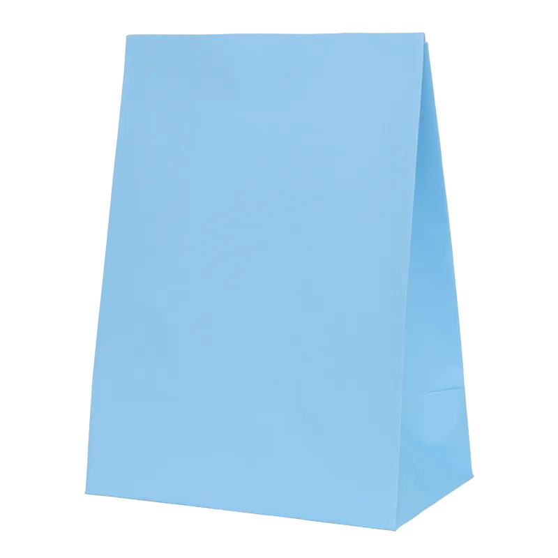 Pastel Blue Party Bags (10 pack)