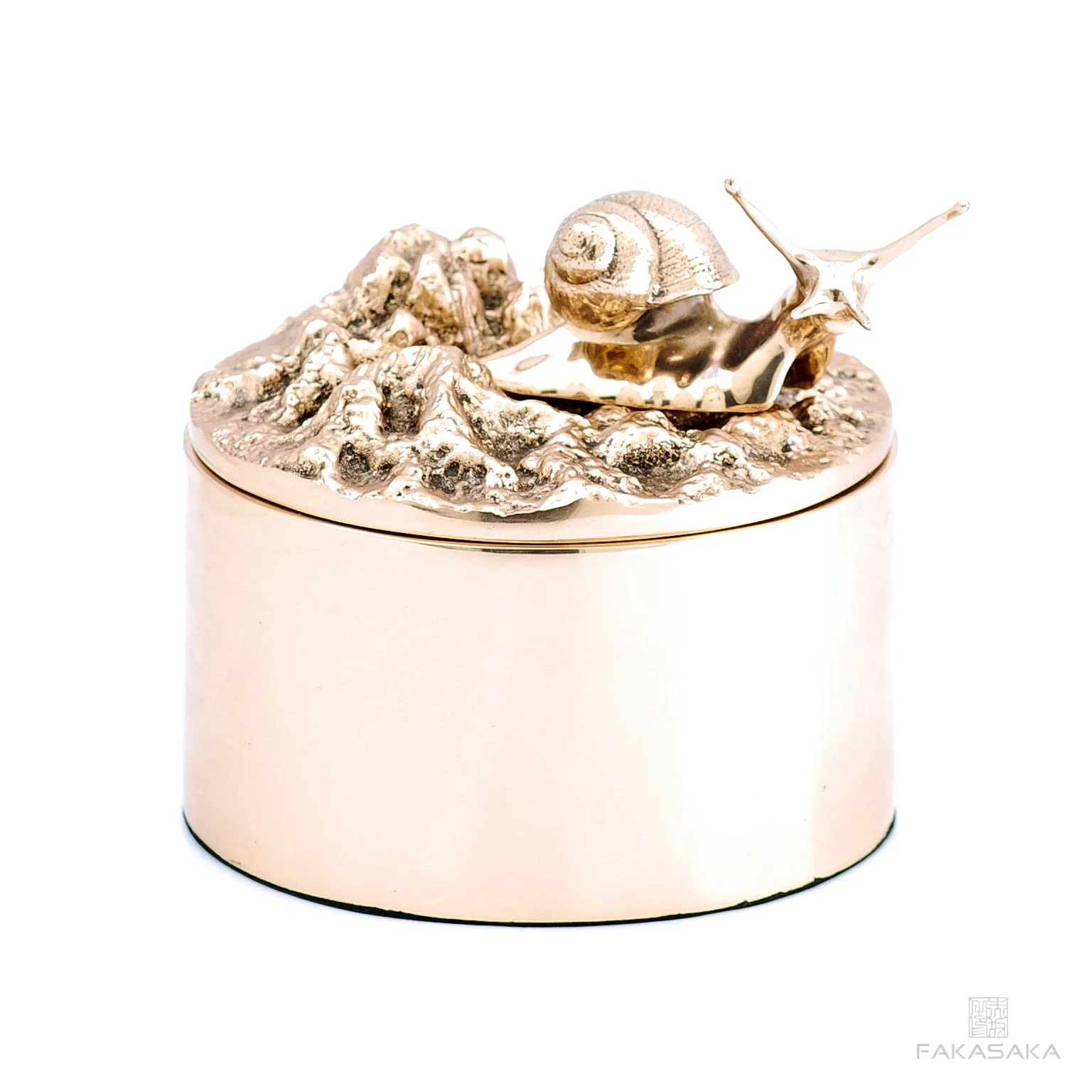 REM BOX<br><br>L’ ESCARGOT DROITE ON TOP<br><br>POLISHED BRONZE
